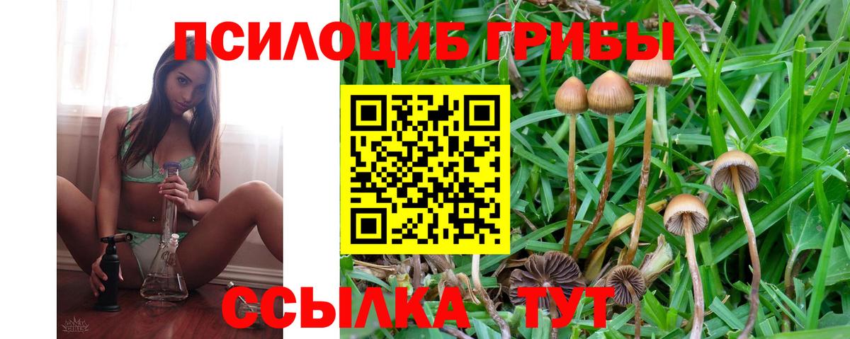 наркотики  Галлюциногенные грибы Psilocybe  Вход с VPN  Кинель 