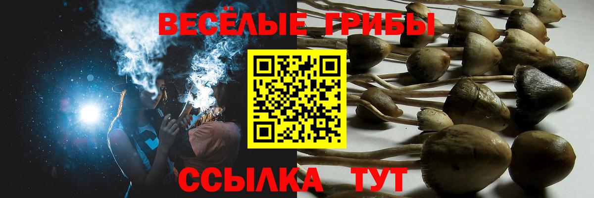 Псилоцибиновые грибы MAGIC MUSHROOMS Кинель